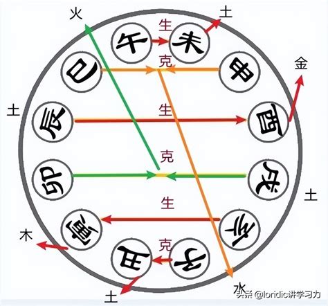 巳卯合|地支